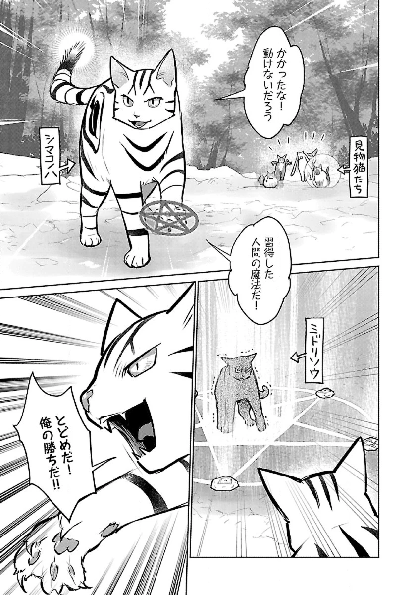 猫と竜 第53話 - 15