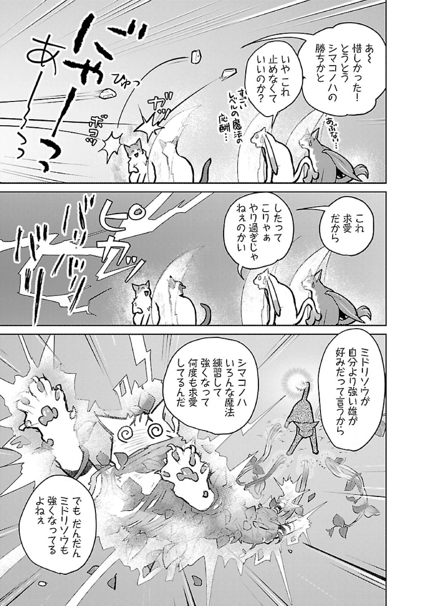 猫と竜 第53話 - 17