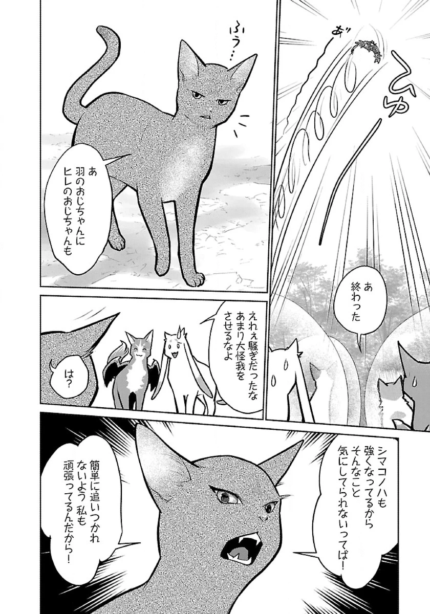 猫と竜 第53話 - 18