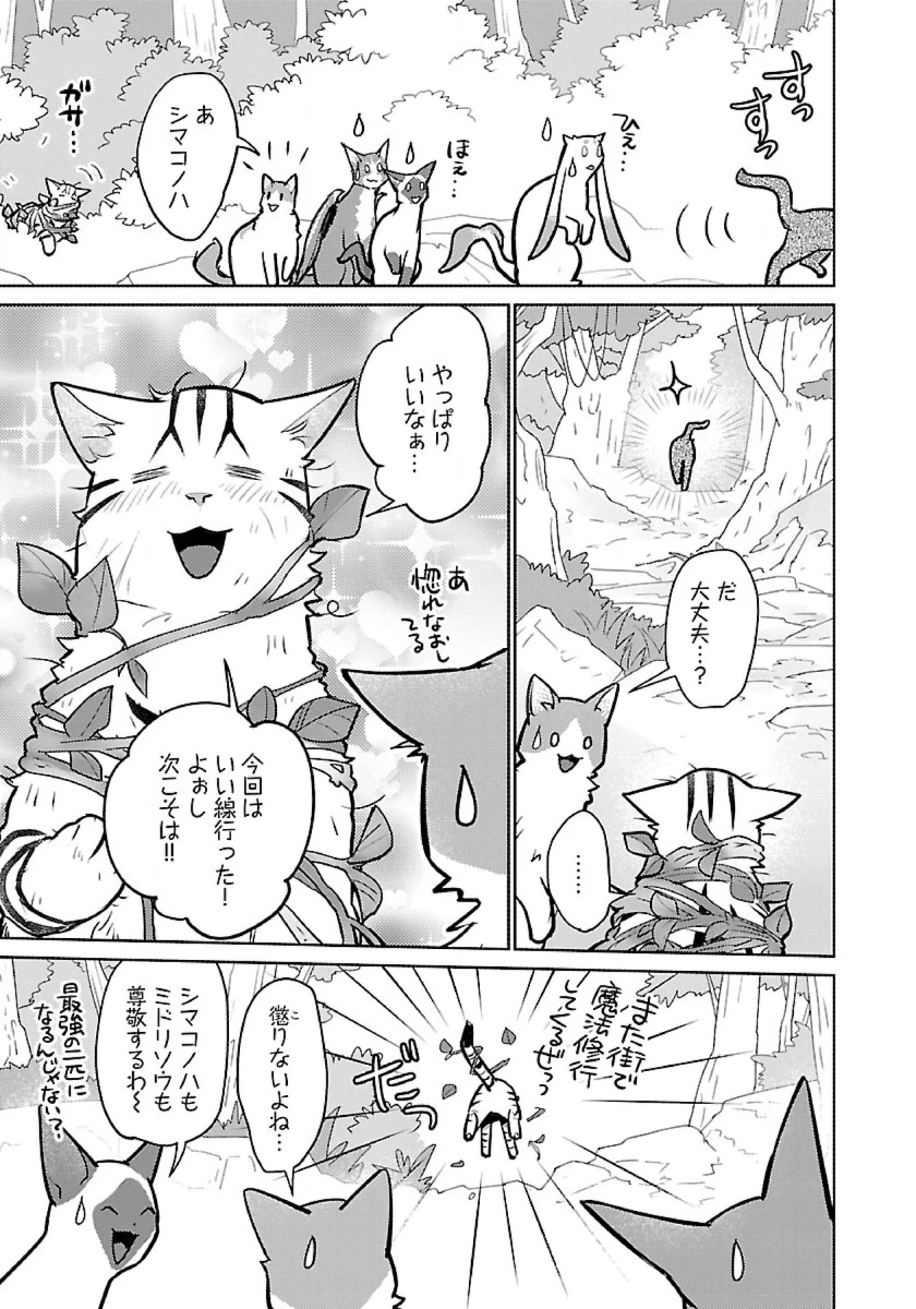 猫と竜 第53話 - 19