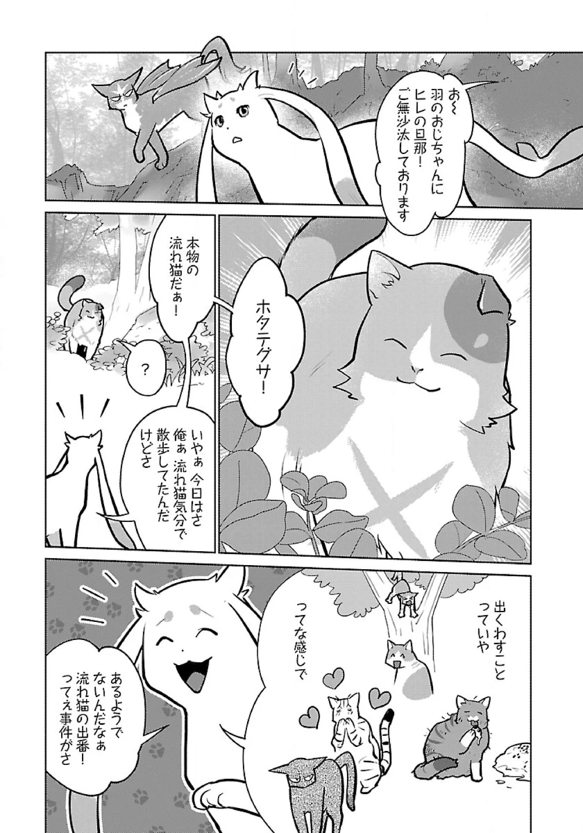 猫と竜 第53話 - 21