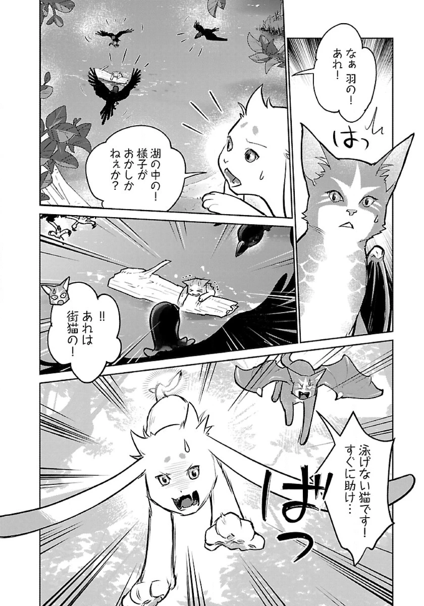 猫と竜 第53話 - 28