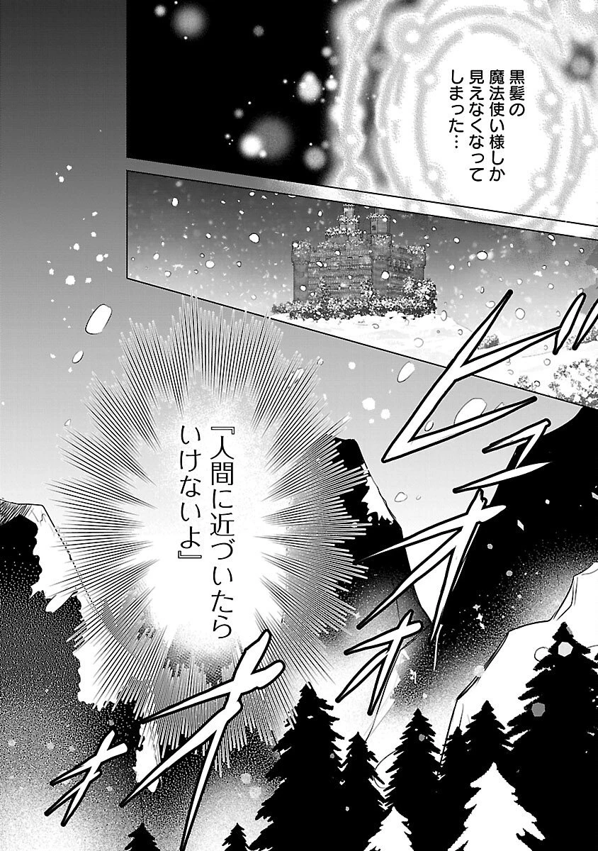 優しい婚約者の様子が変です〜お嬢様は黒髪の魔法使いに恋をする〜 第9話 - 22