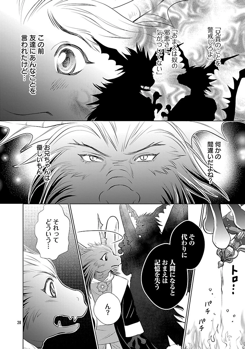 優しい婚約者の様子が変です〜お嬢様は黒髪の魔法使いに恋をする〜 第9話 - 30