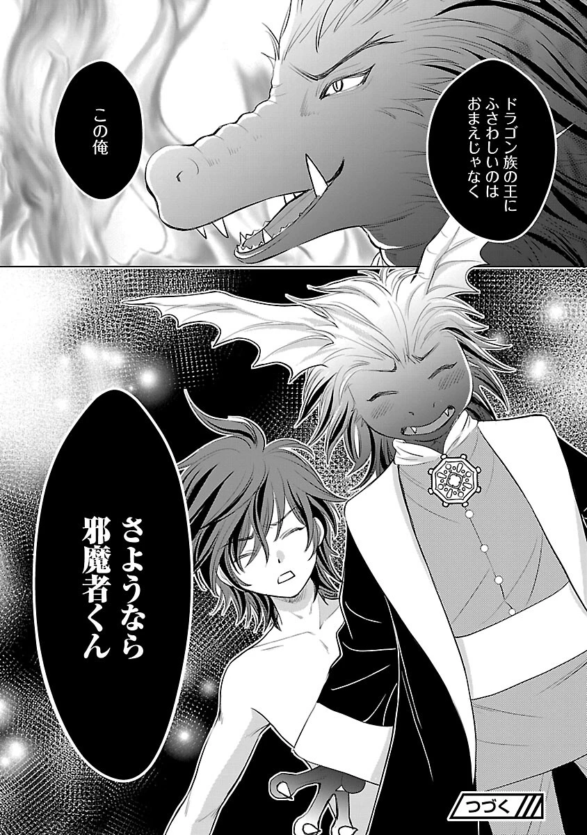 優しい婚約者の様子が変です〜お嬢様は黒髪の魔法使いに恋をする〜 第9話 - 32
