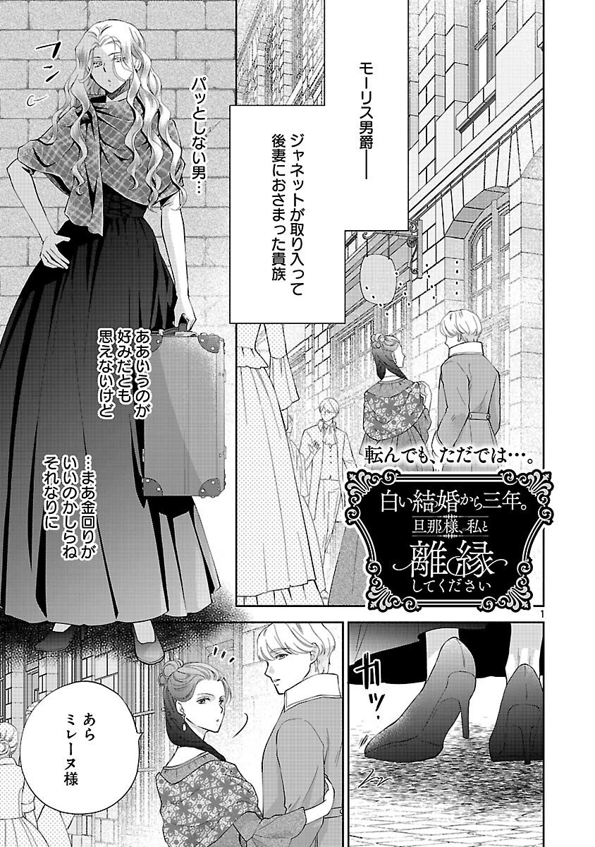 白い結婚から三年。旦那様、私と離縁してください 第19話 - 3