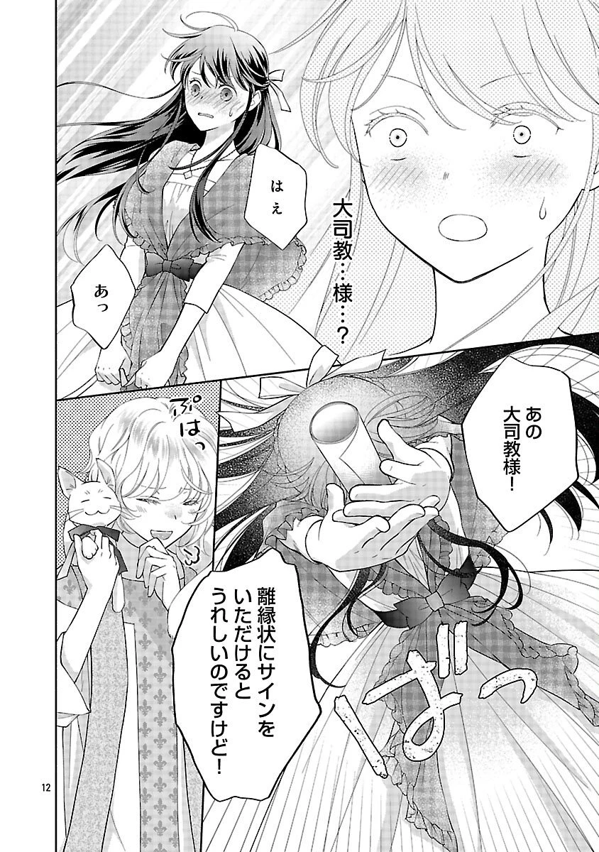 白い結婚から三年。旦那様、私と離縁してください 第19話 - 14