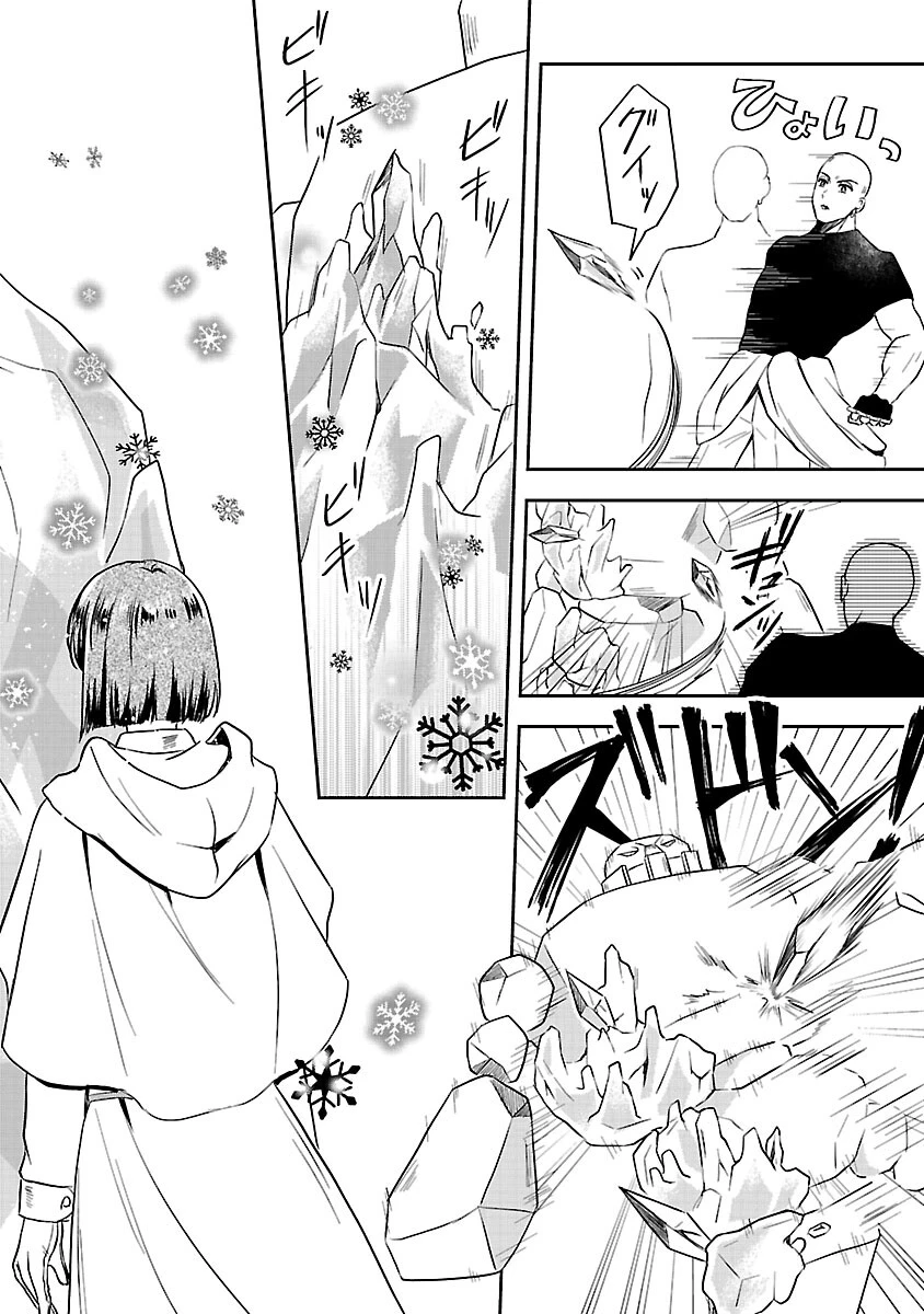 祝・聖女になれませんでした。 このままステルスしたいのですが、悪役顔と精霊に愛され体質のせいでやっぱり色々起こります 第13話 - 22