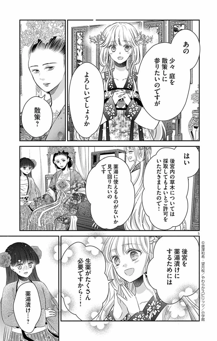 皇弟殿下の薬湯妃～初恋の人との駆け落ち先は後宮でした～ 第3話 - 5
