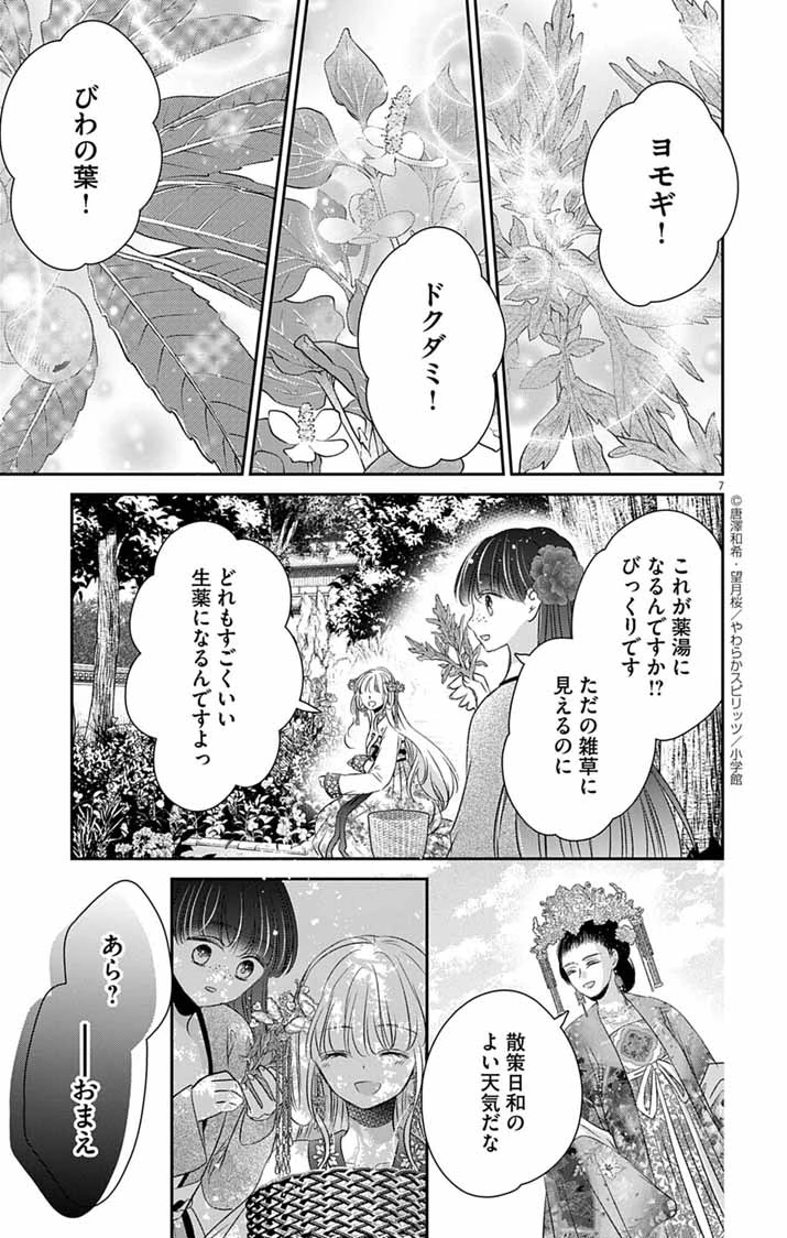 皇弟殿下の薬湯妃～初恋の人との駆け落ち先は後宮でした～ 第3話 - 7