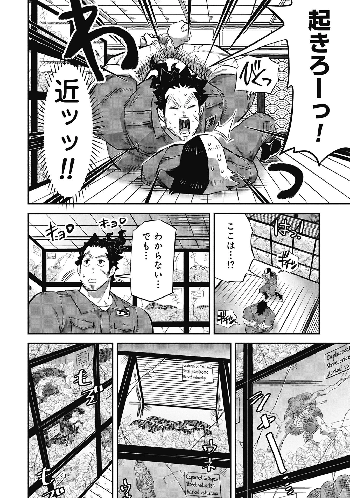子宝さんのオトナな動物図鑑 第4話 - 2