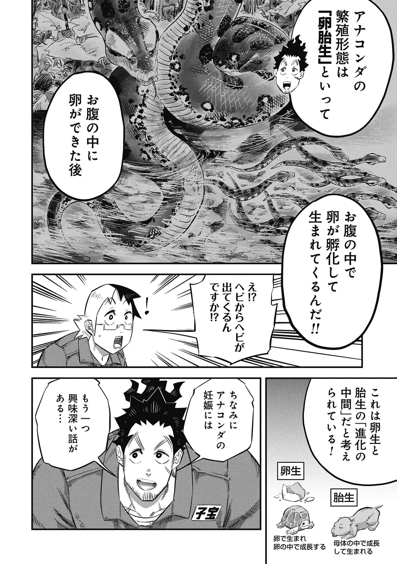 子宝さんのオトナな動物図鑑 第4話 - 12