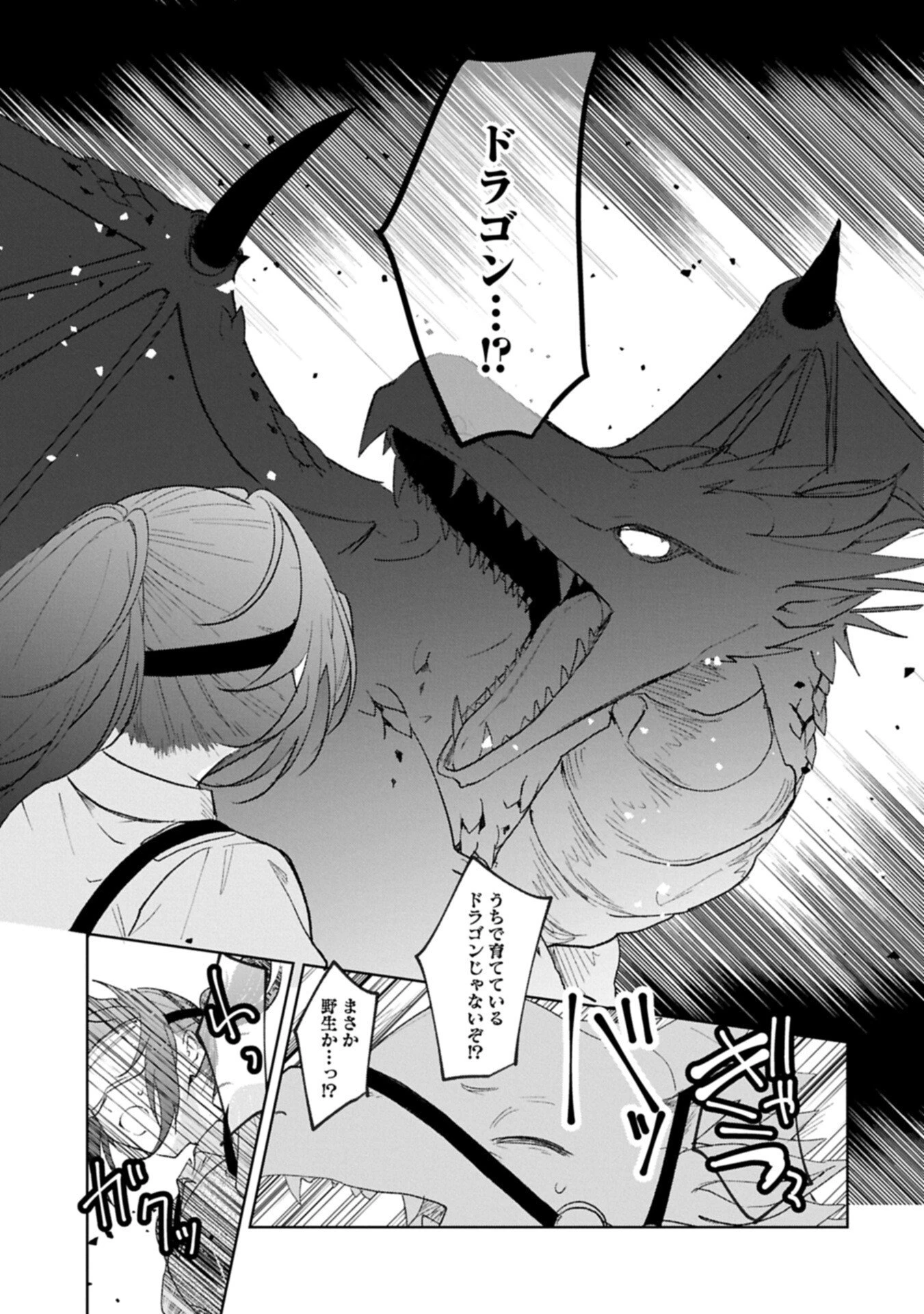 辺境の貧乏伯爵に嫁ぐことになったので領地改革に励みます 第22話 - 5