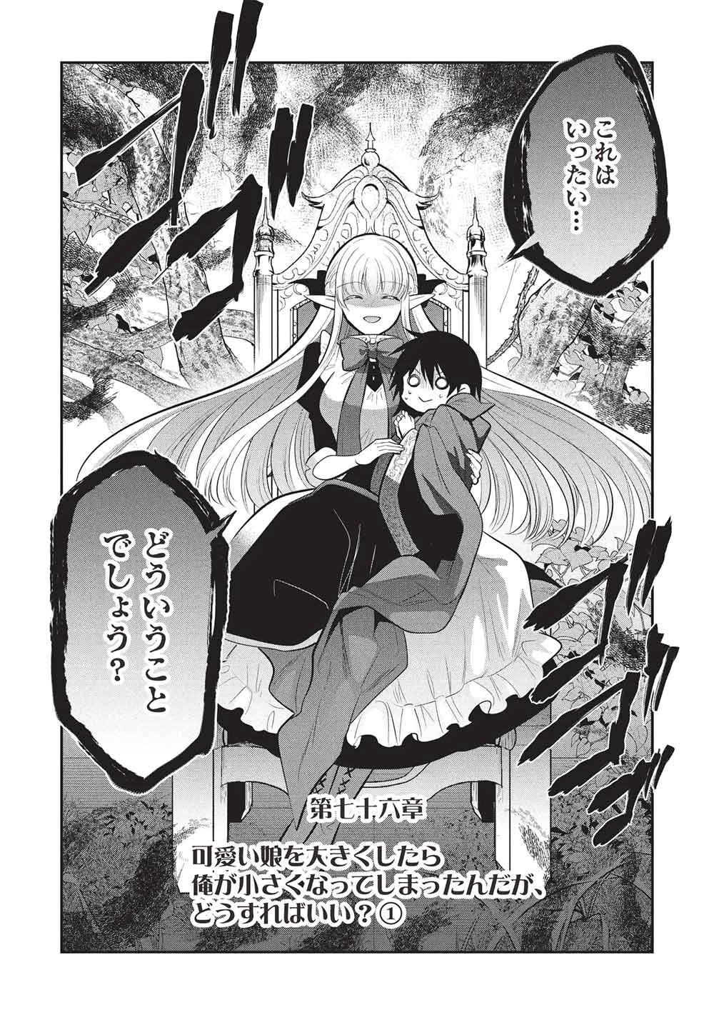 魔王の俺が奴隷エルフを嫁にしたんだが、どう愛でればいい？ 第76話 - 18