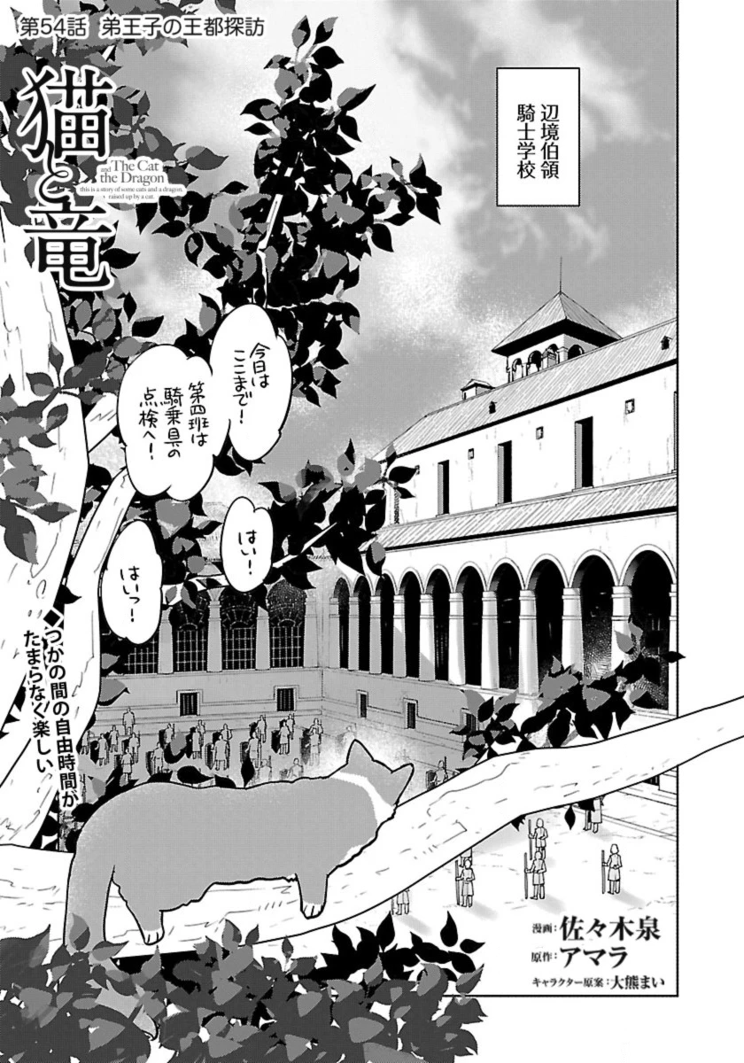 猫と竜 第54話 - 1