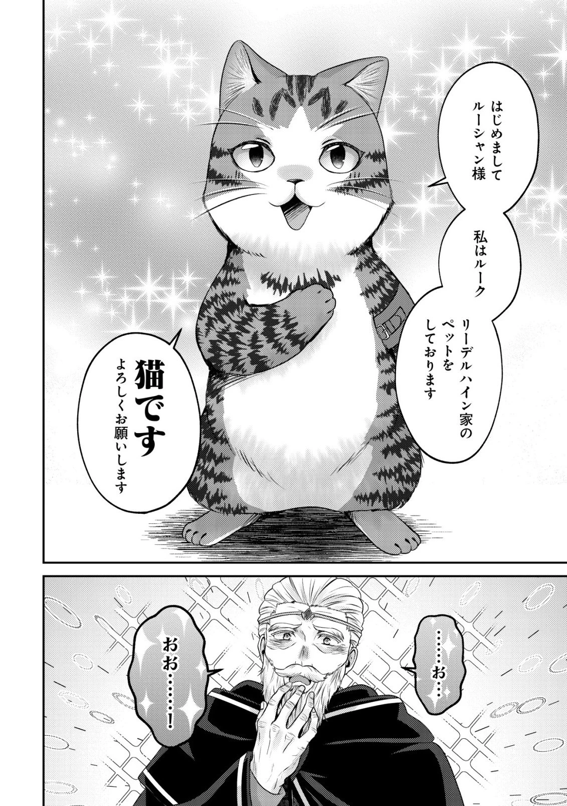 我輩は猫魔導師である～キジトラ・ルークの快適チート猫生活～ 第29話 - 10