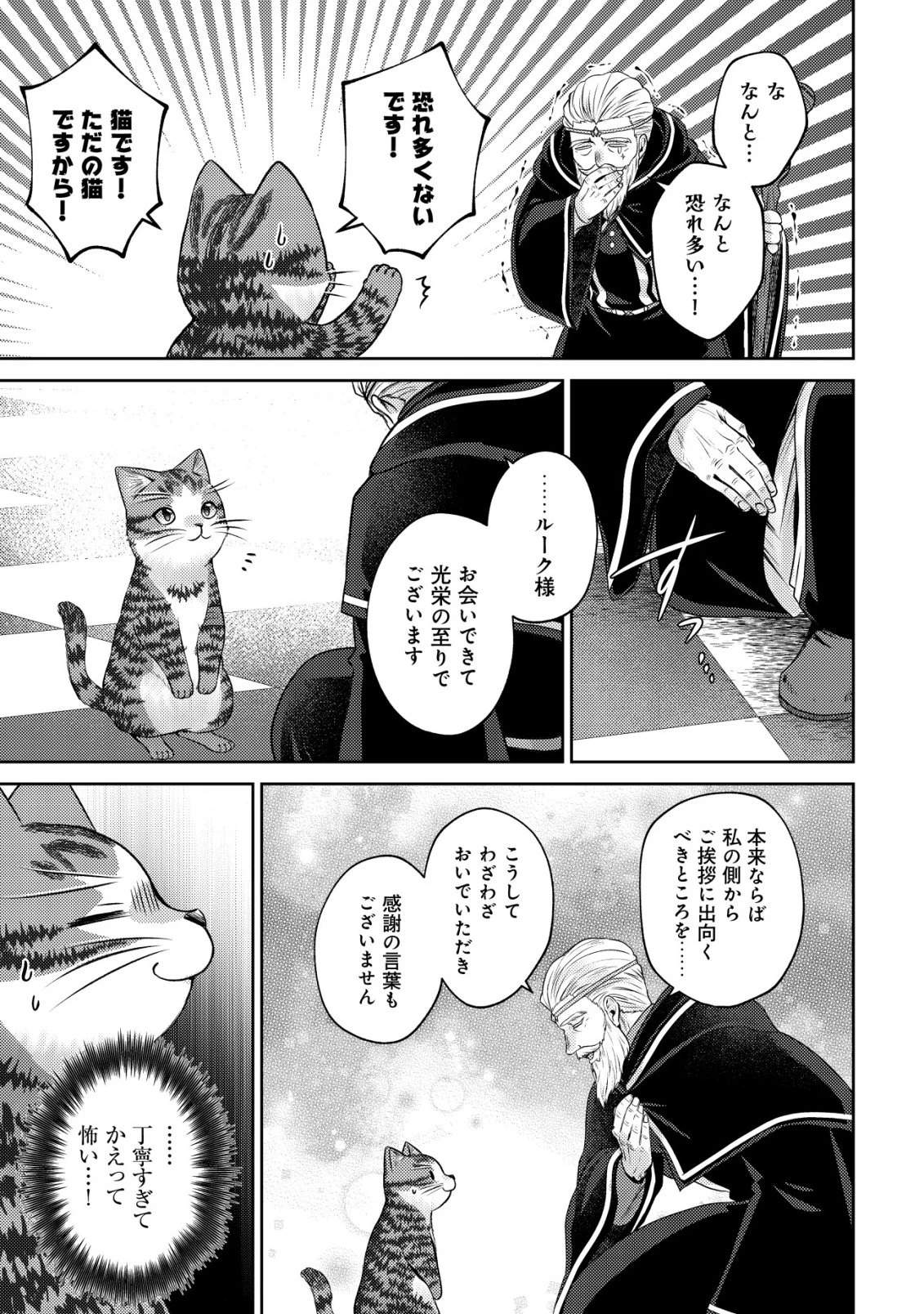 我輩は猫魔導師である～キジトラ・ルークの快適チート猫生活～ 第29話 - 11