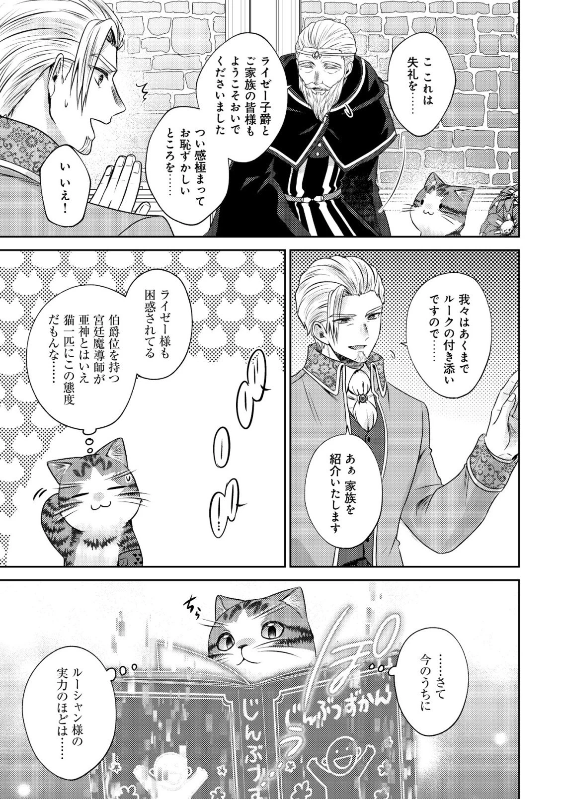 我輩は猫魔導師である～キジトラ・ルークの快適チート猫生活～ 第29話 - 13