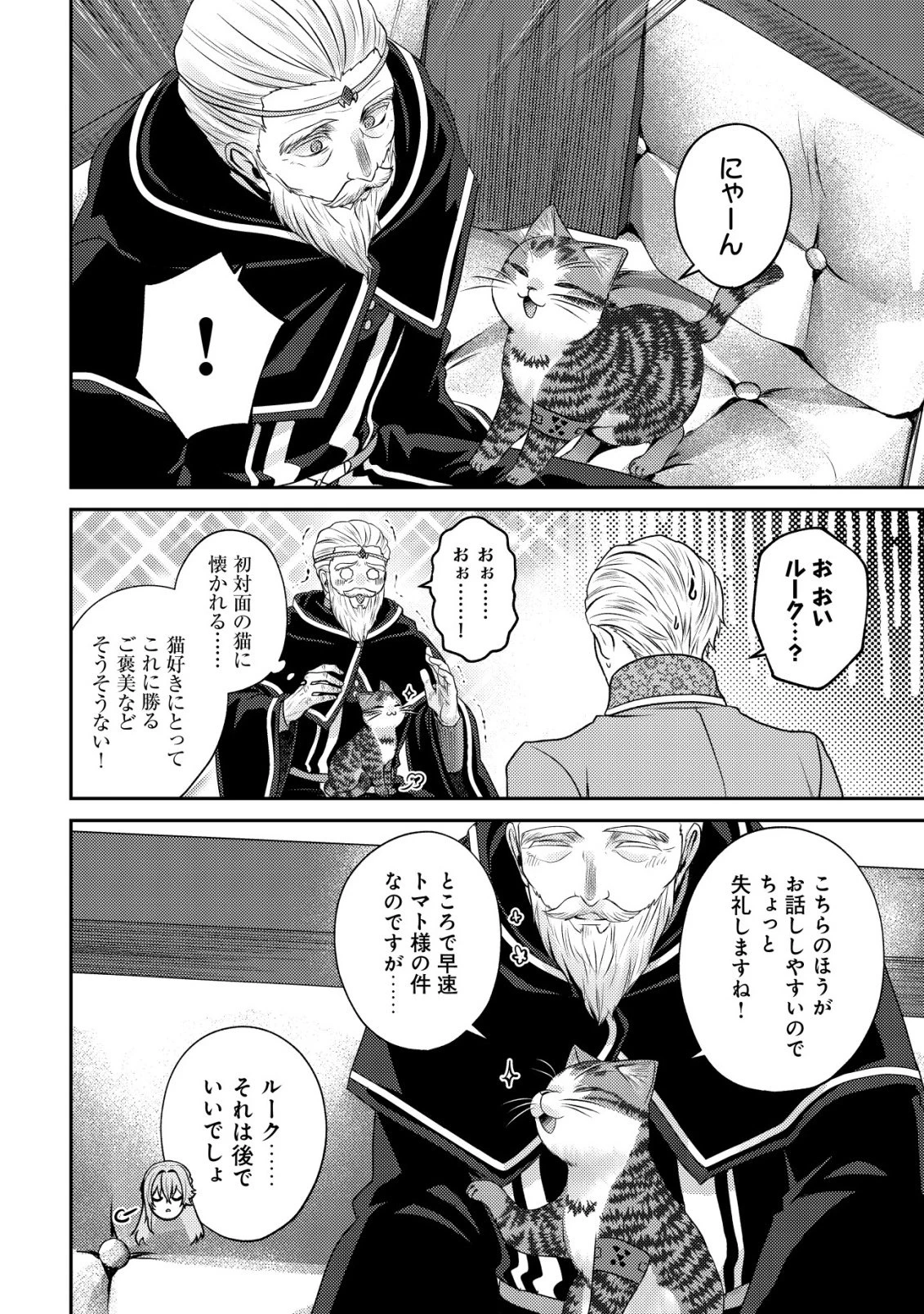 我輩は猫魔導師である～キジトラ・ルークの快適チート猫生活～ 第29話 - 16