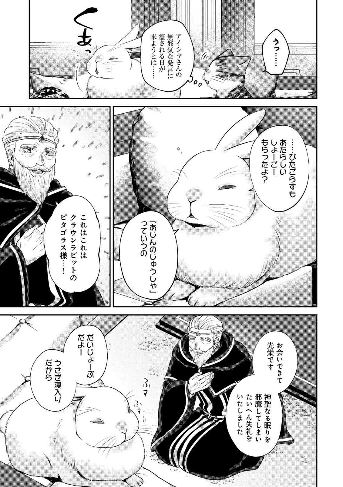 我輩は猫魔導師である～キジトラ・ルークの快適チート猫生活～ 第29話 - 23