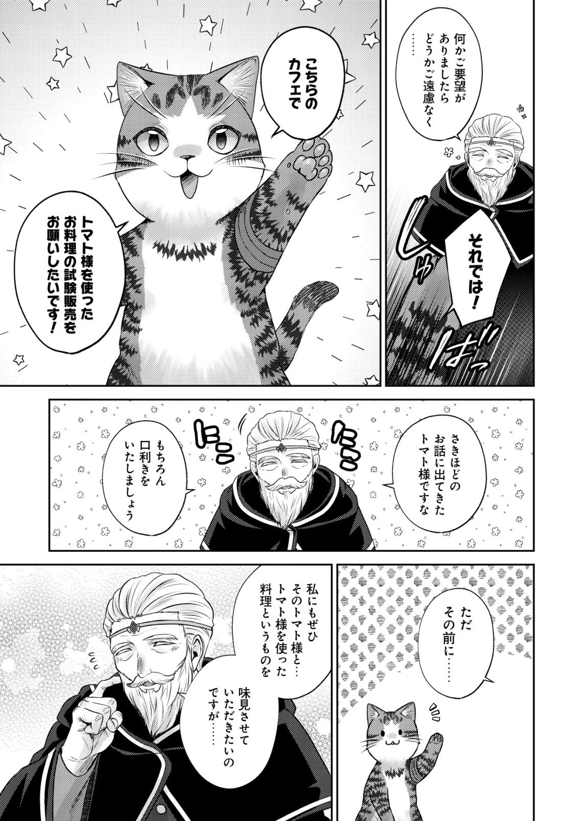 我輩は猫魔導師である～キジトラ・ルークの快適チート猫生活～ 第29話 - 25