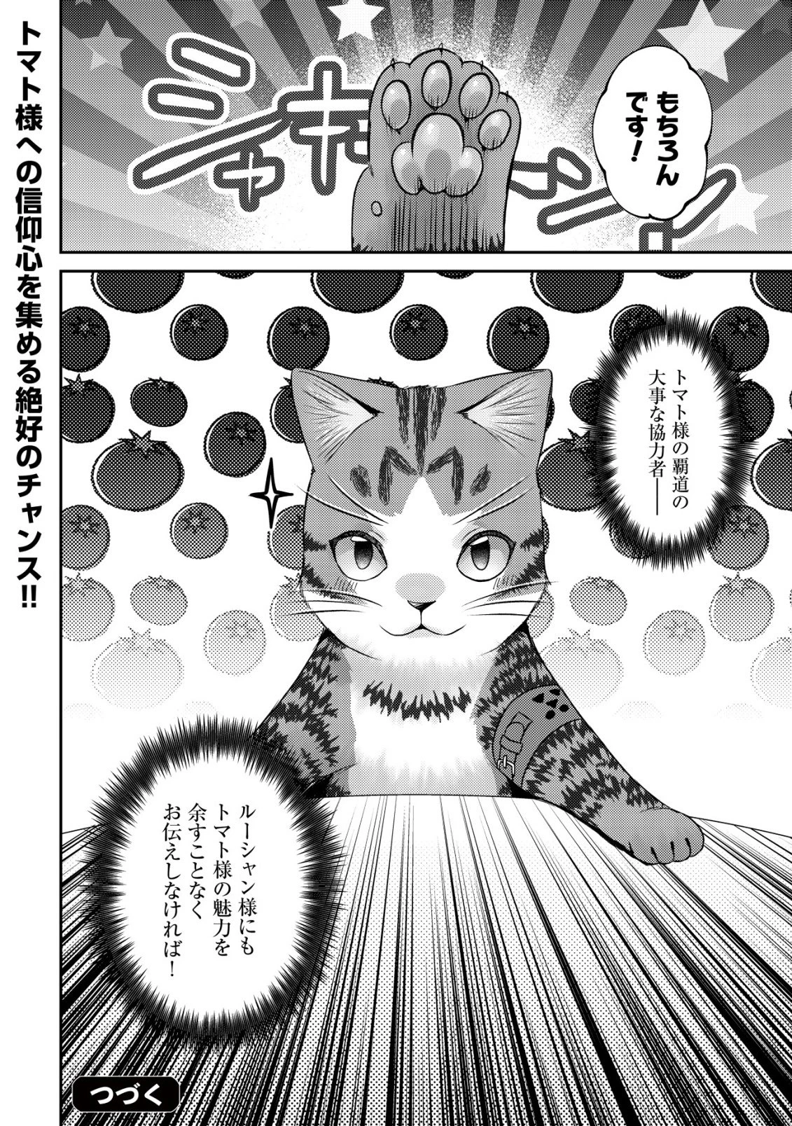 我輩は猫魔導師である～キジトラ・ルークの快適チート猫生活～ 第29話 - 26