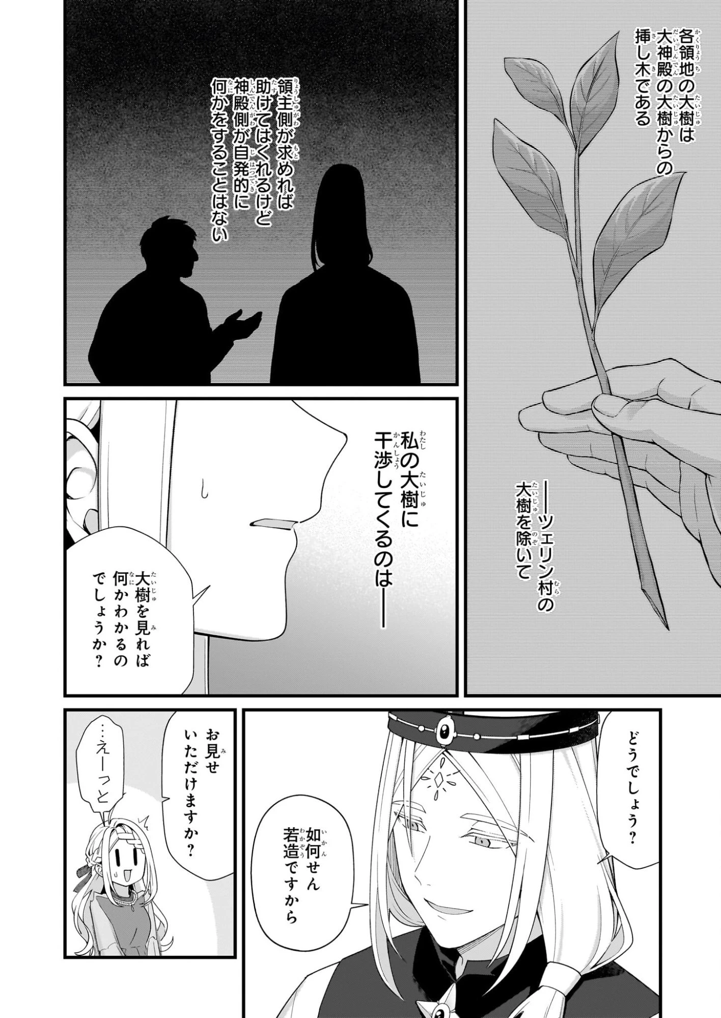 加護なし令嬢の小さな村 ～さあ、領地運営を始めましょう！～ 第51話 - 12