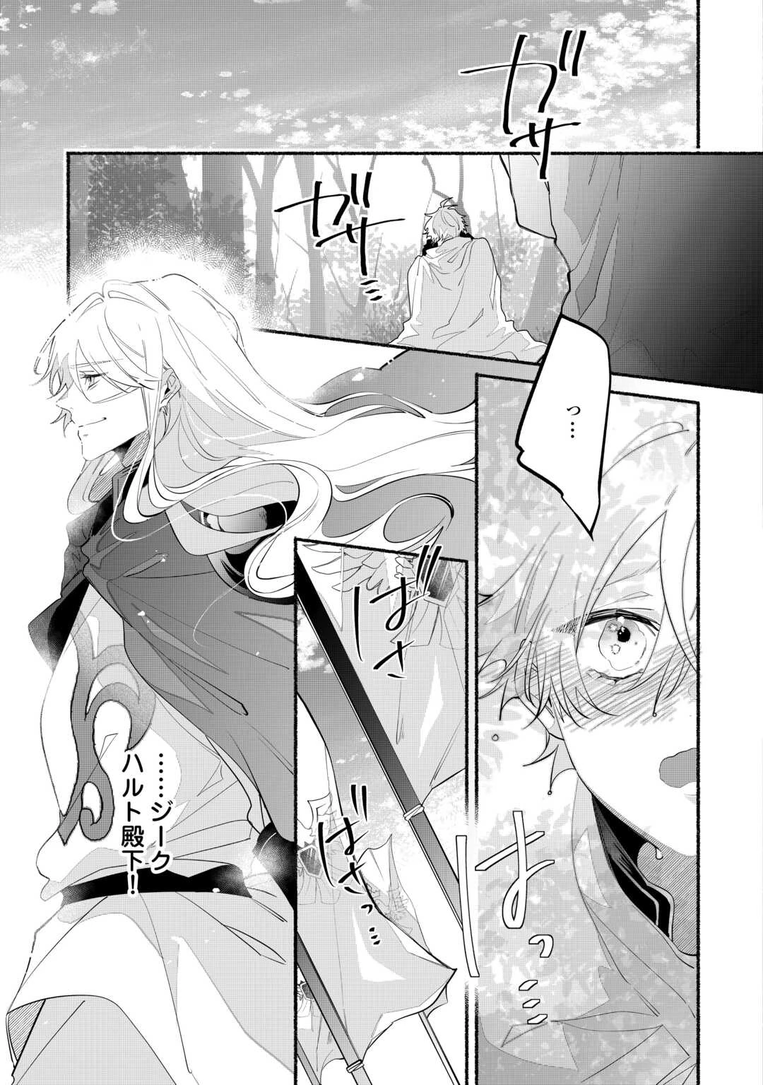 男装騎士は王太子のお気に入り 第13話 - 17