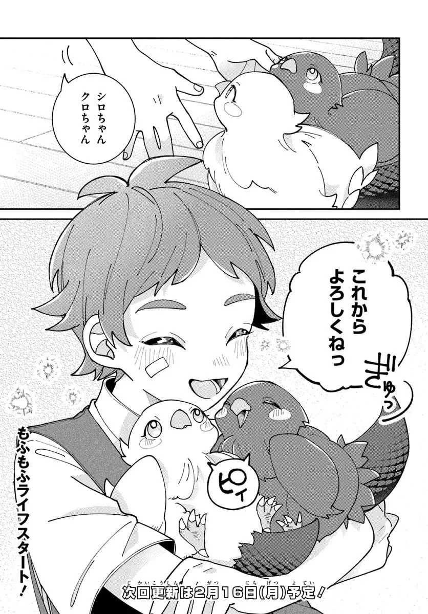 異世界旅はニワトリスと共に 第1話 - 51