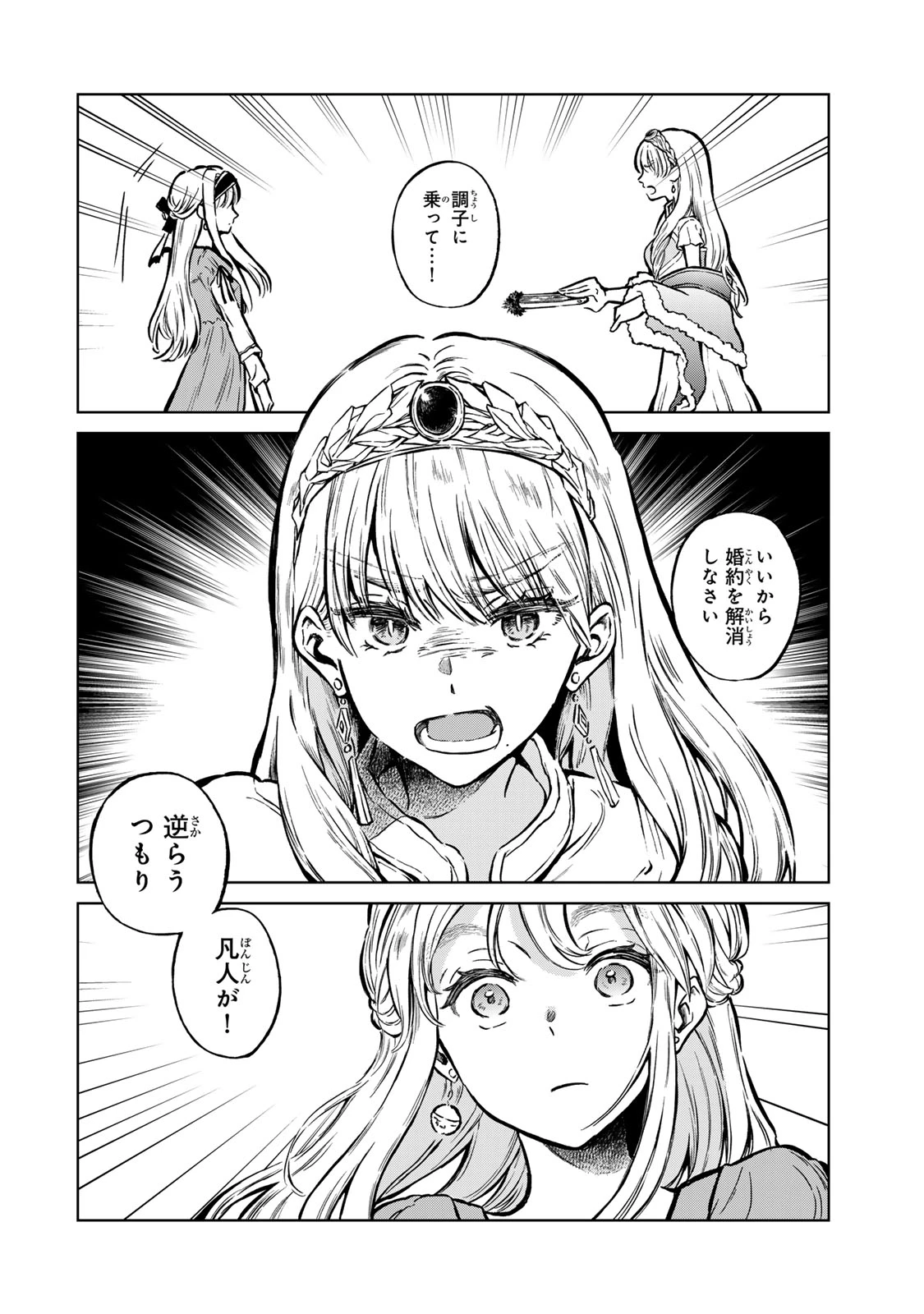 お幸せに、婚約者様。私も私で、幸せになりますので。 第1話 - 28