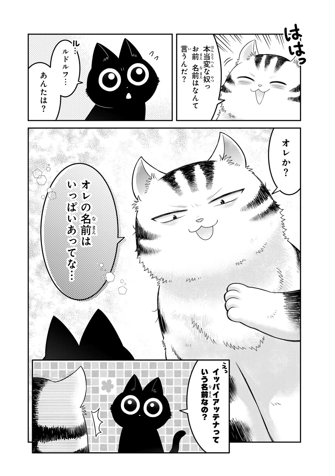 ルドルフとイッパイアッテナ 第1話 - 27