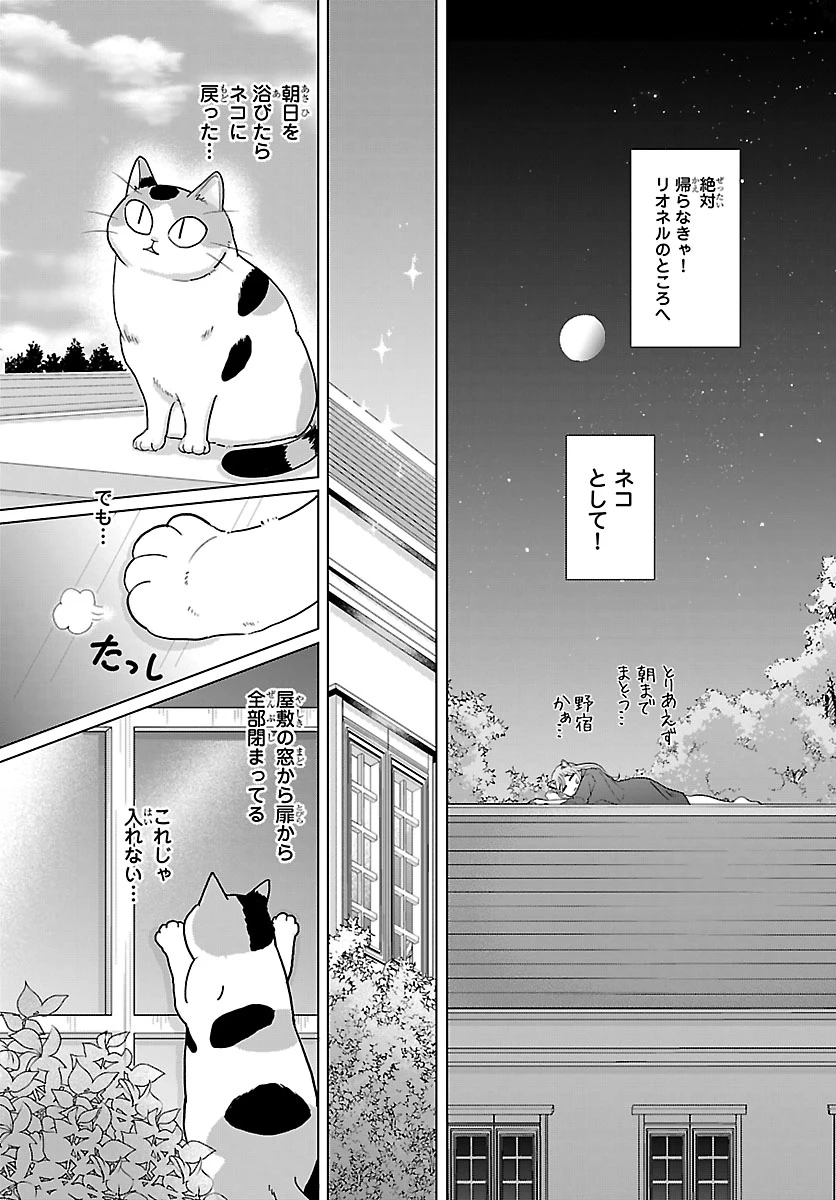 転生した三毛猫は王子と玉座の夢を見る 第3話 - 17