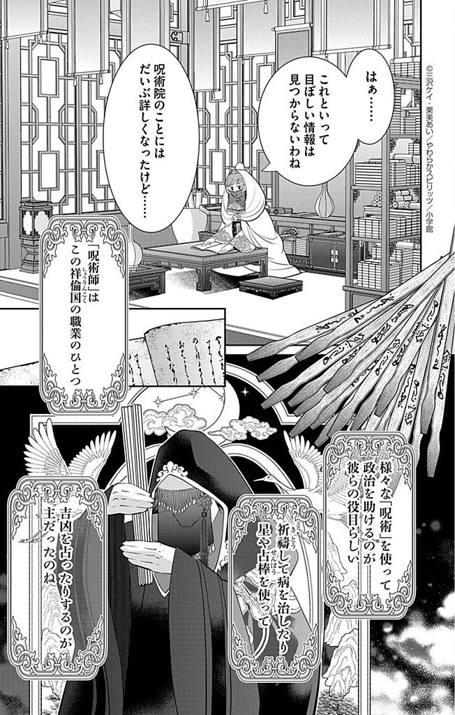 後宮の影公主～呪術師は謎を読む～ 第6話 - 13