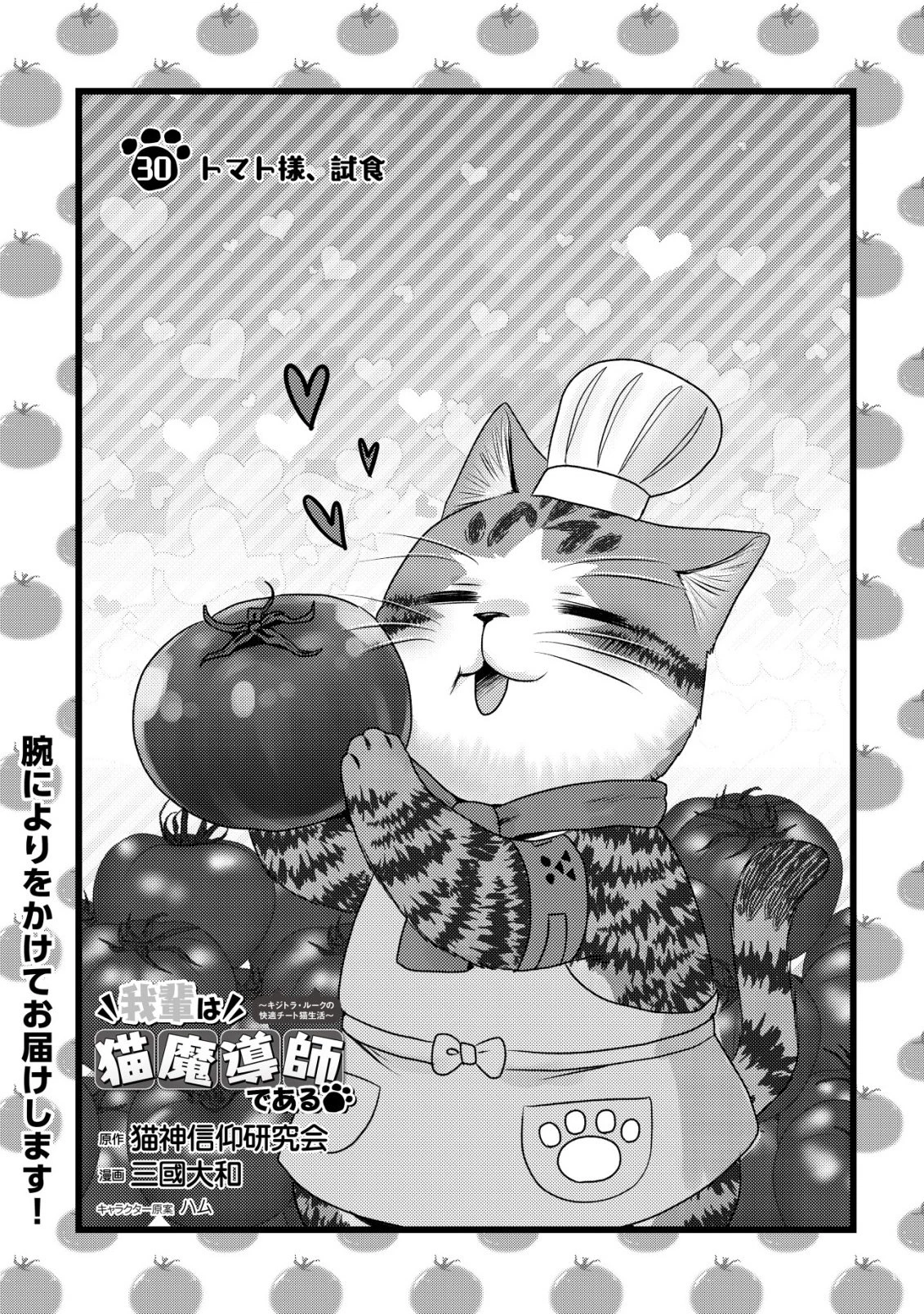 我輩は猫魔導師である～キジトラ・ルークの快適チート猫生活～ 第30話 - 1