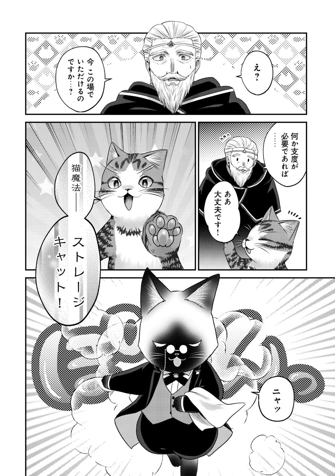 我輩は猫魔導師である～キジトラ・ルークの快適チート猫生活～ 第30話 - 2