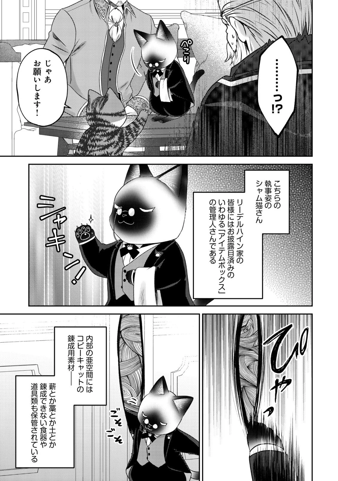 我輩は猫魔導師である～キジトラ・ルークの快適チート猫生活～ 第30話 - 3