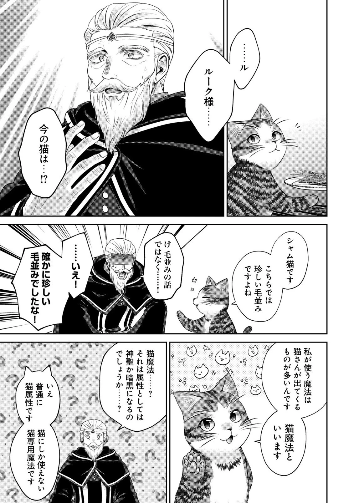 我輩は猫魔導師である～キジトラ・ルークの快適チート猫生活～ 第30話 - 5