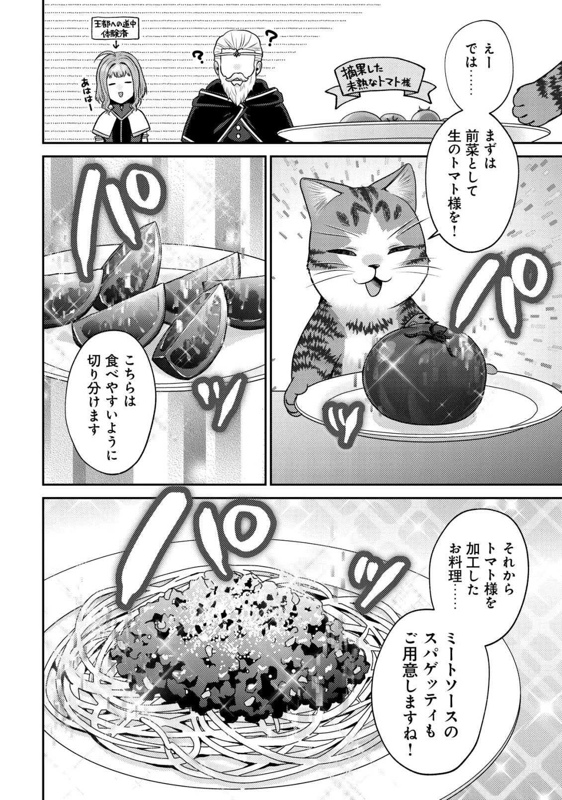 我輩は猫魔導師である～キジトラ・ルークの快適チート猫生活～ 第30話 - 6