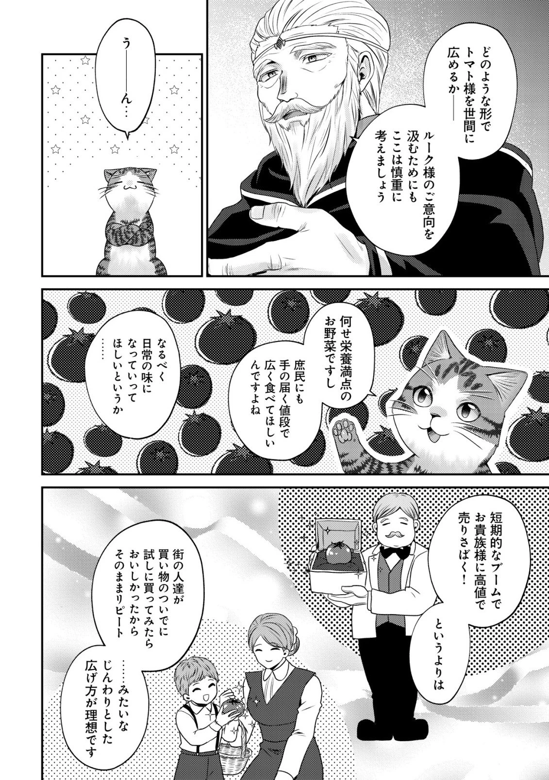 我輩は猫魔導師である～キジトラ・ルークの快適チート猫生活～ 第30話 - 14