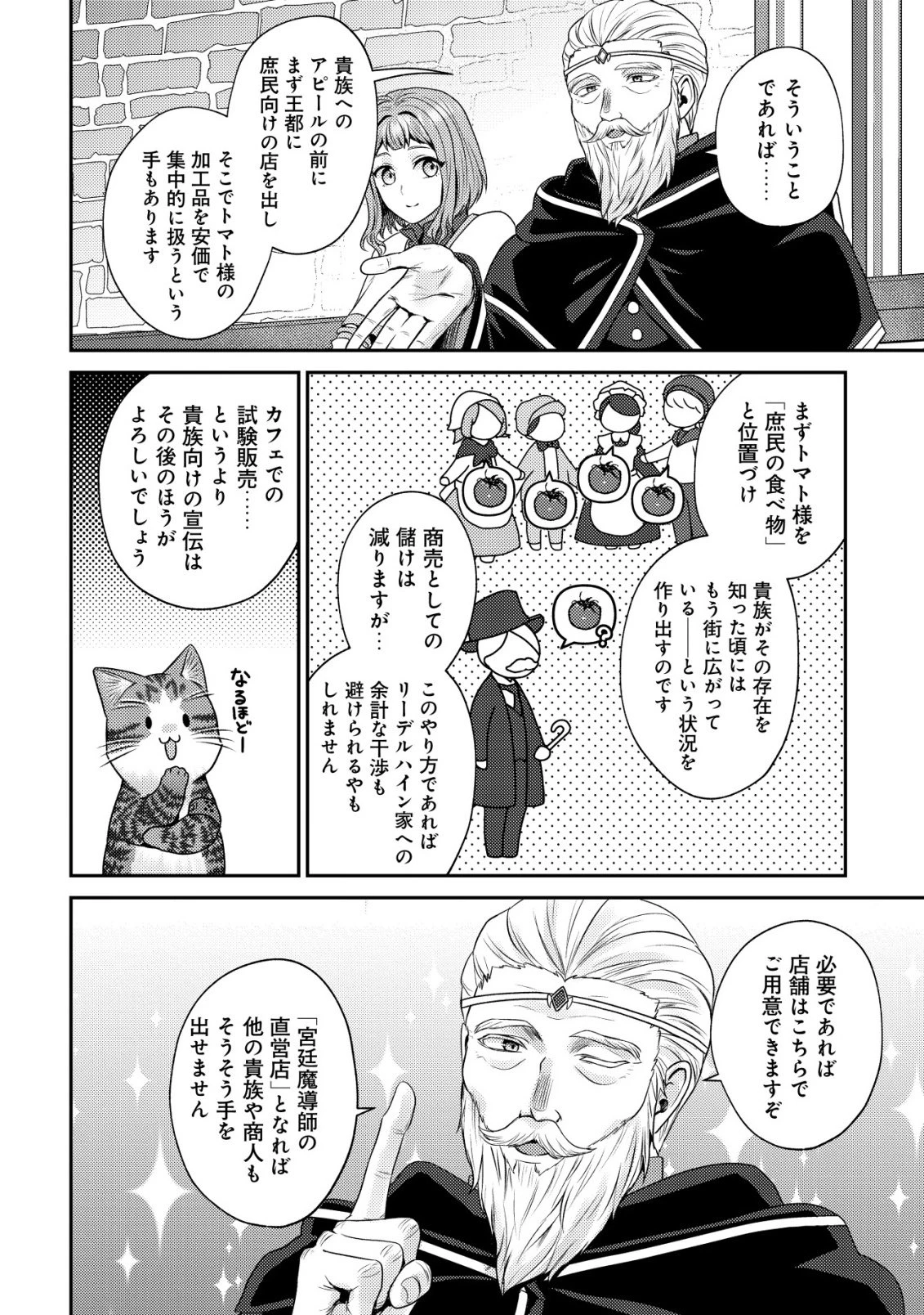 我輩は猫魔導師である～キジトラ・ルークの快適チート猫生活～ 第30話 - 16