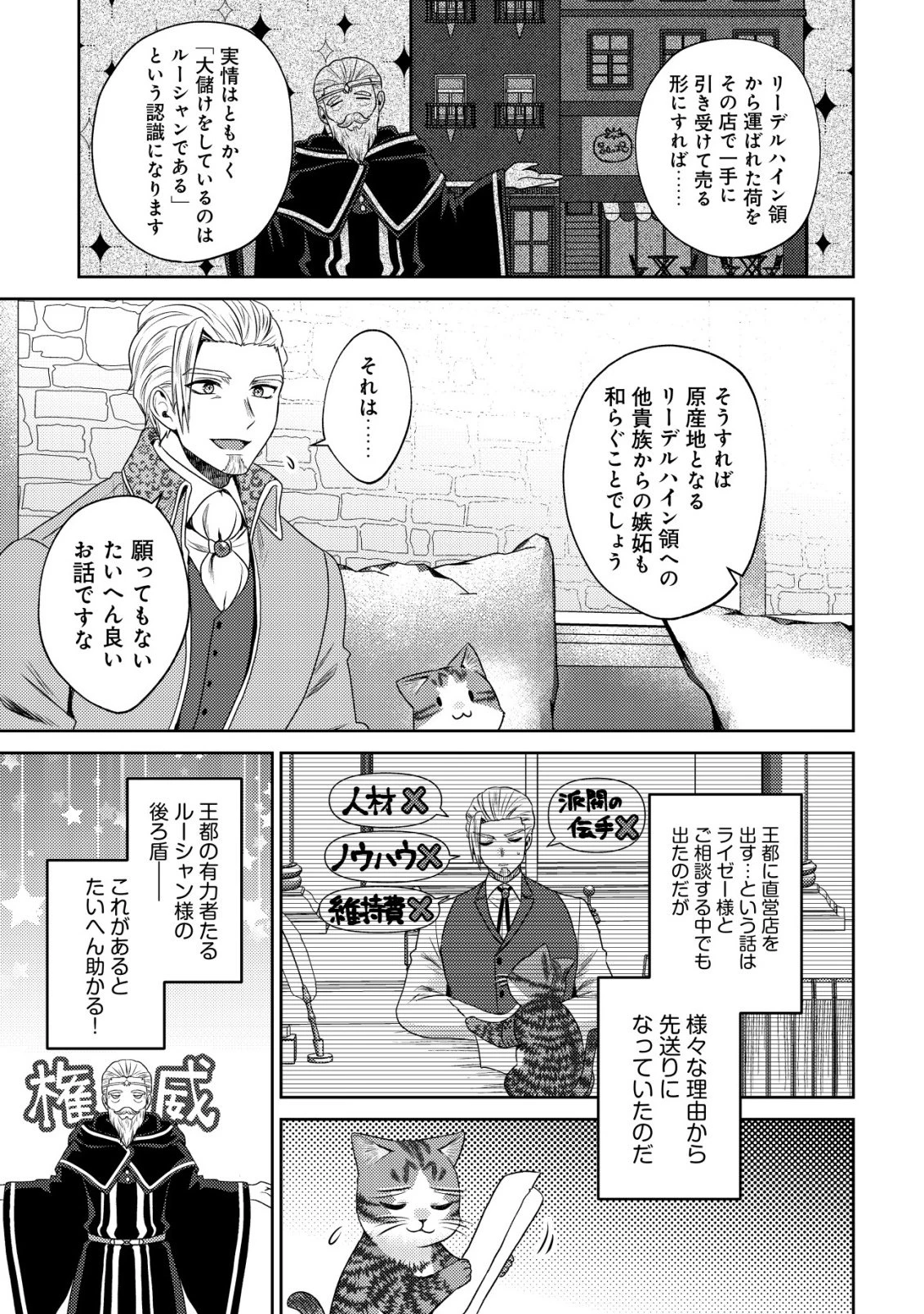 我輩は猫魔導師である～キジトラ・ルークの快適チート猫生活～ 第30話 - 17