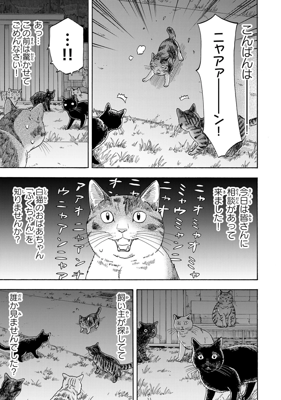 遊月は猫になる 第10話 - 11