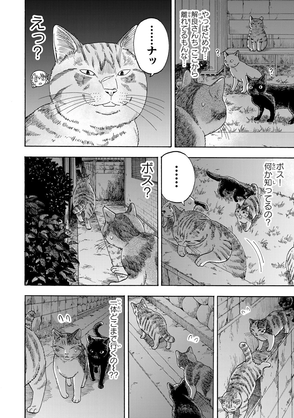 遊月は猫になる 第10話 - 12