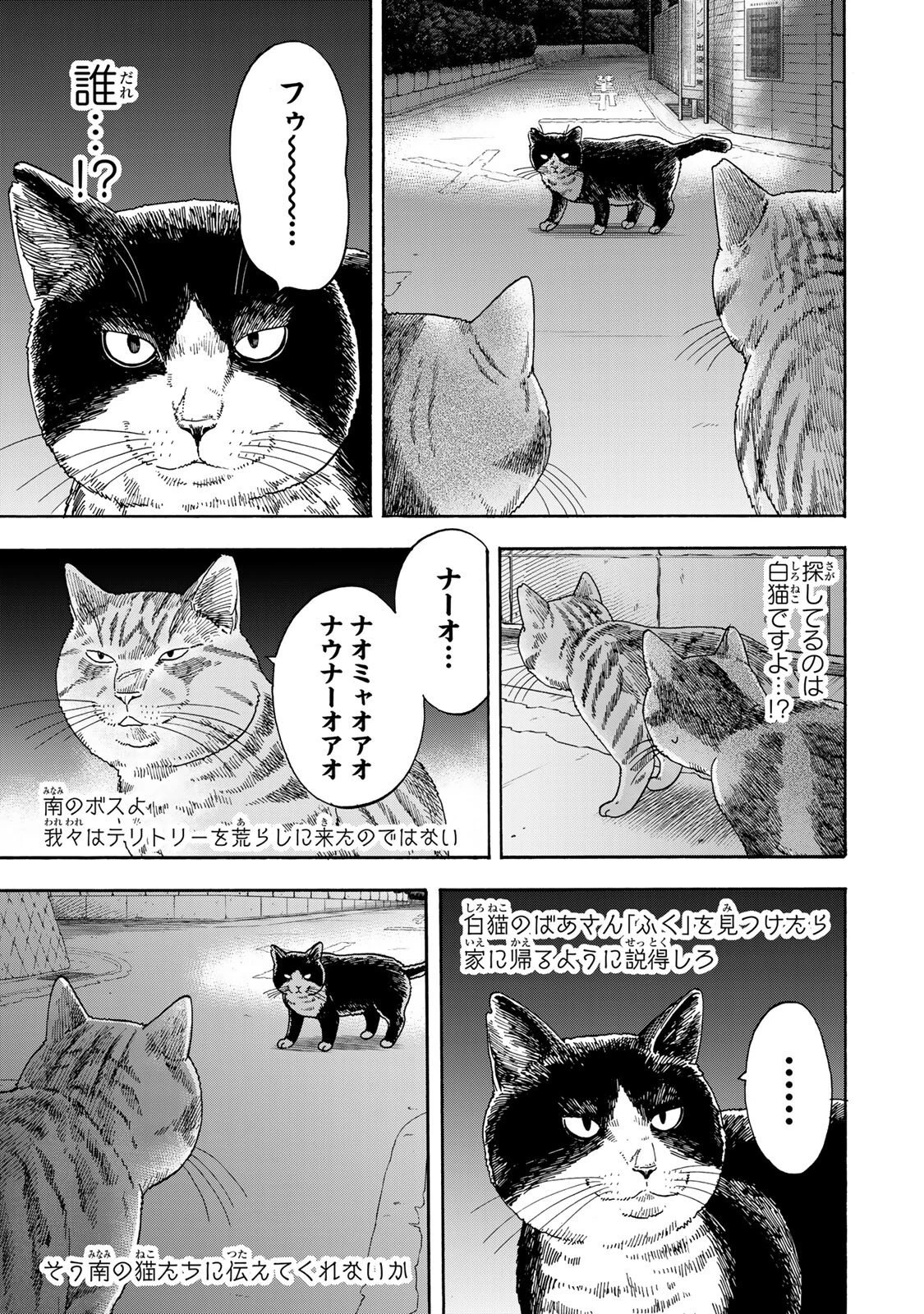 遊月は猫になる 第10話 - 13