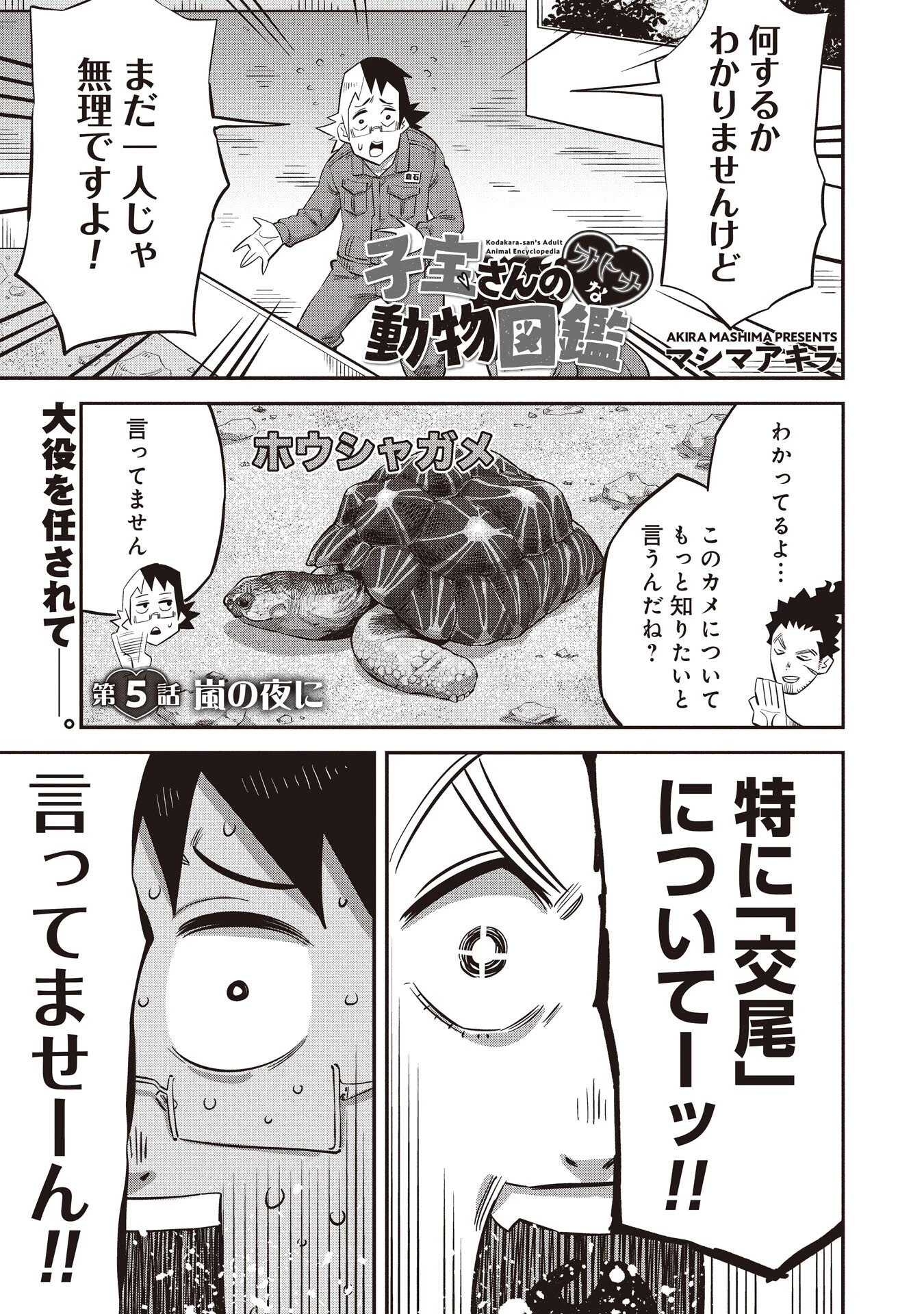 子宝さんのオトナな動物図鑑 第5話 - 1