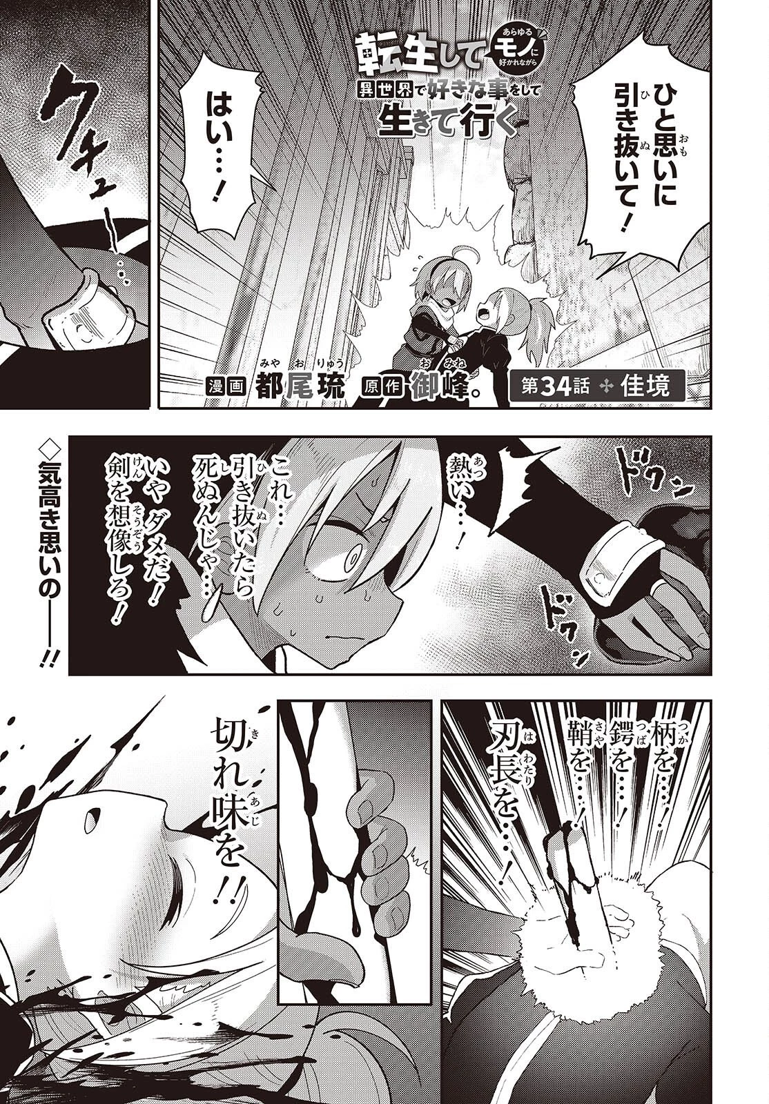 転生してあらゆるモノに好かれながら異世界で好きな事をして生きて行く 第34話 - 1