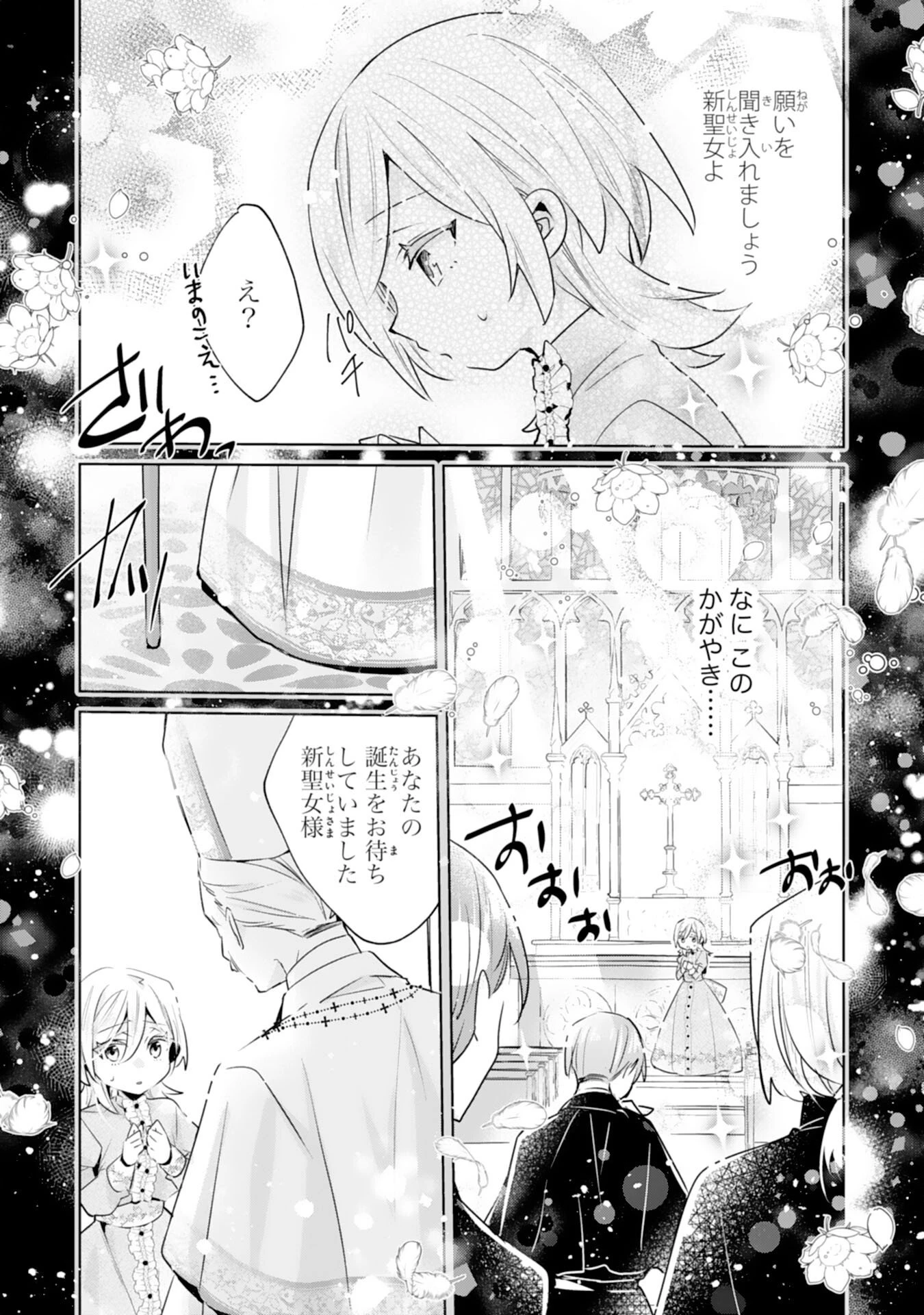 どうも、噂の悪女でございます　聖女の力は差し上げるので、私はお暇頂戴します 第1話 - 17