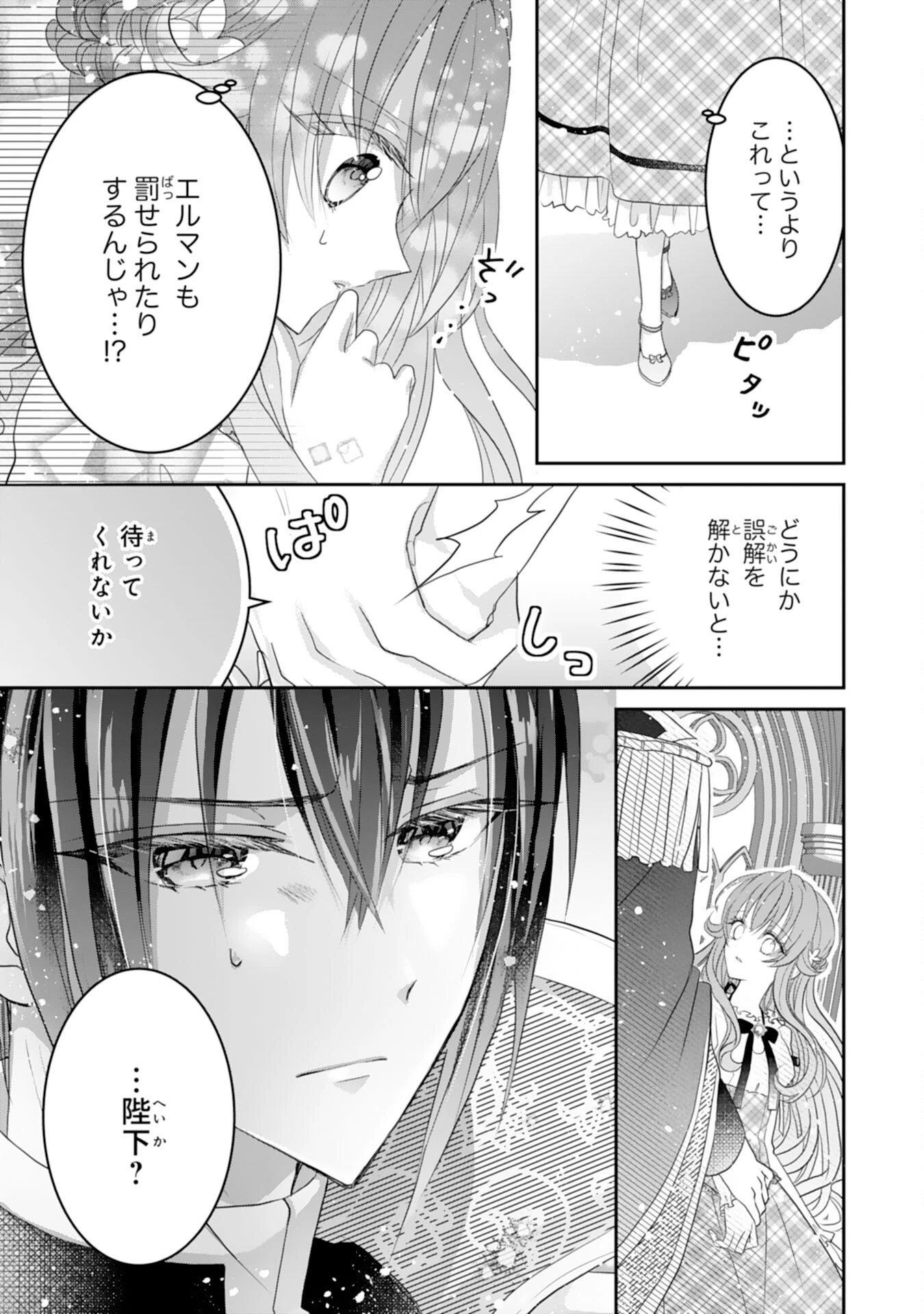 婚約破棄された公爵令嬢は冷徹国王の溺愛を信じない 第6話 - 25