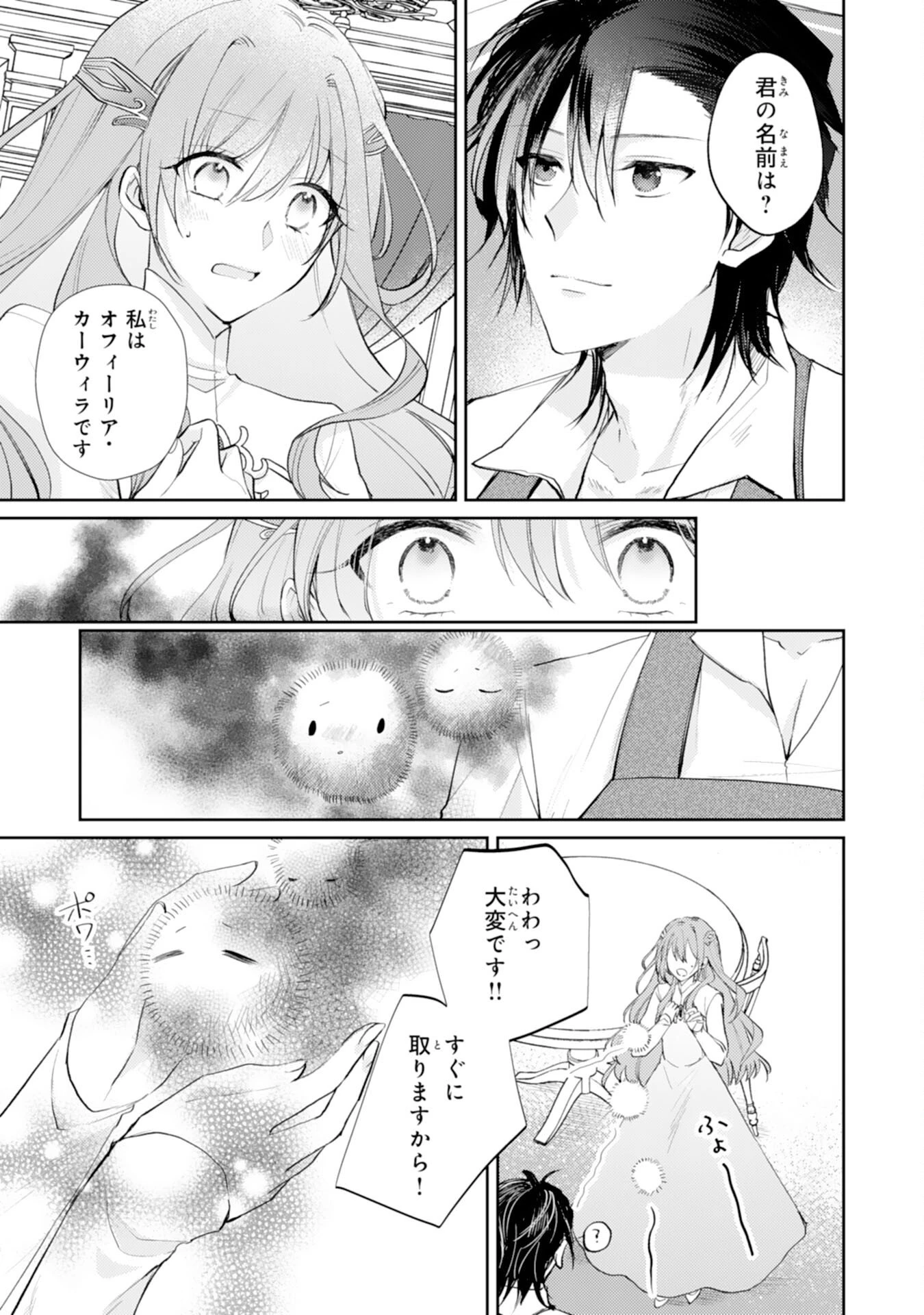 精霊に愛されすぎた腹ペコ聖女、追放されたけど隣国王太子に溺愛されて幸せいっぱいです 第3話 - 3