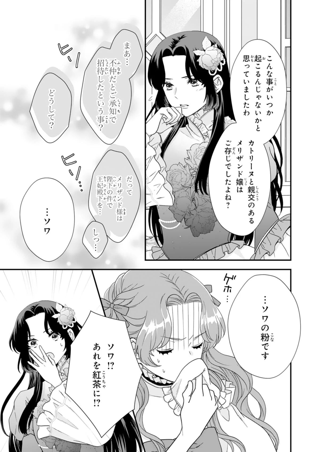 双子王子の継母になりまして～嫌われ悪女ですが、そんなことより義息子たちが可愛すぎて困ります～ 第12話 - 21